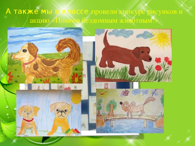   А также мы в классе провели конкурс рисунков и акцию «Помоги бездомным животным!»       