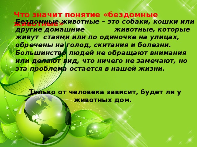   Что значит понятие «бездомные животные» Бездомные животные – это собаки, кошки или другие домашние животные, которые живут стаями или по одиночке на улицах, обречены на голод, скитания и болезни. Большинство людей не обращают внимания или делают вид, что ничего не замечают, но эта проблема остается в нашей жизни.   Только от человека зависит, будет ли у животных дом.     