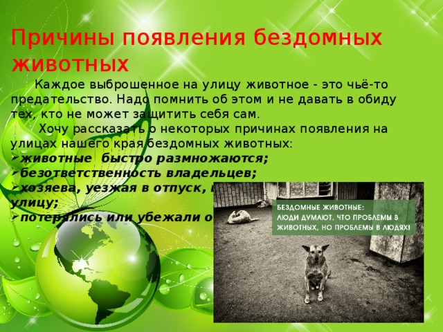  Причины появления бездомных животных   Каждое выброшенное на улицу животное - это чьё-то предательство. Надо помнить об этом и не давать в обиду тех, кто не может защитить себя сам.   Хочу рассказать о некоторых причинах появления на улицах нашего края бездомных животных: животные быстро размножаются; безответственность владельцев; хозяева, уезжая в отпуск, выгоняют животных на улицу; потерялись или убежали от хозяев;           