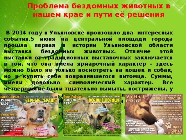 Проблема бездомных животных в нашем крае и пути её решения         В 2014 году в Ульяновске произошло два интересных события.5 июня на центральной площади города прошла первая в истории Ульяновской области выставка бездомных животных. Отличие этой выставки от традиционных выставочных заключается в том, что она имела ярмарочный характер – здесь можно было не только посмотреть на кошек и собак, но и купить себе понравившегося питомца. Суммы, имели довольно символический характер. Все четвероногие были тщательно вымыты, пострижены, у них имелись все документы. Им были сделаны все необходимые прививки. У горожан акция нашла широкий отклик – посетителей было не мало. Акция продолжается по сегодняшний день.  