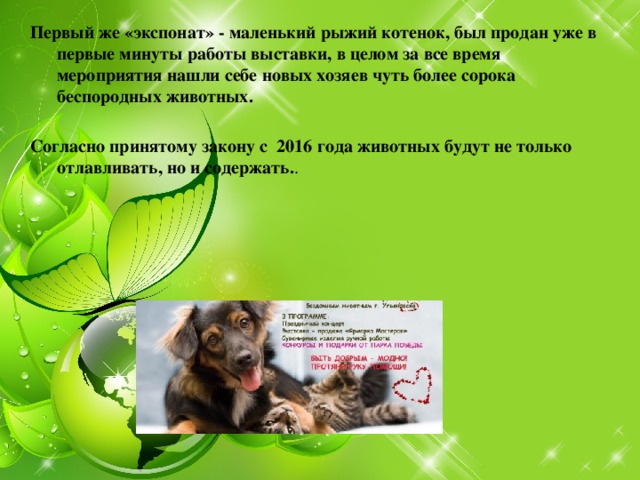  Первый же «экспонат» - маленький рыжий котенок, был продан уже в первые минуты работы выставки, в целом за все время мероприятия нашли себе новых хозяев чуть более сорока беспородных животных.   Согласно принятому закону с 2016 года животных будут не только отлавливать, но и содержать. .        