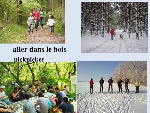 аller dans le bois picknicker 