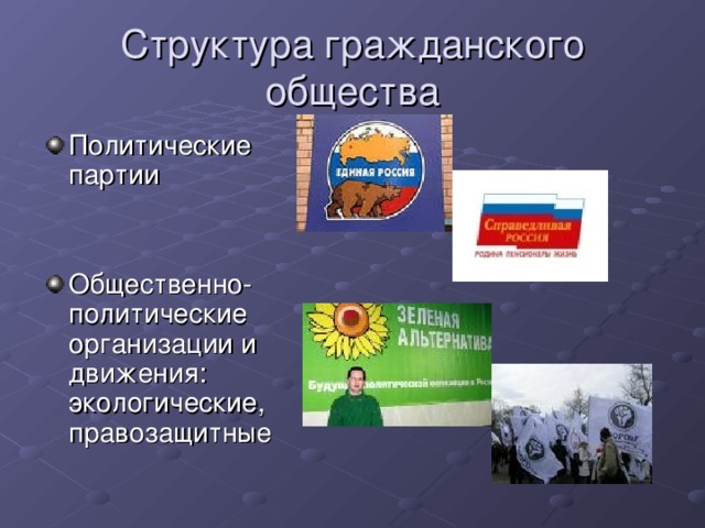 Структура гражданского общества Политические партии Общественно-политические организации и движения: экологические, правозащитные  