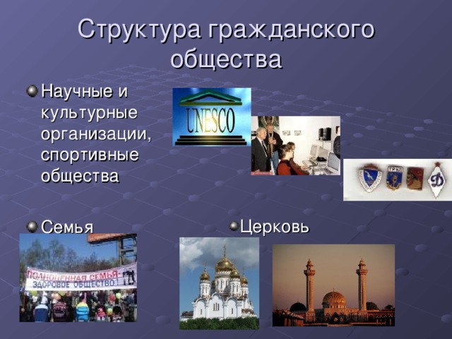 Структура гражданского общества Научные и культурные организации, спортивные общества  Семья  Церковь  