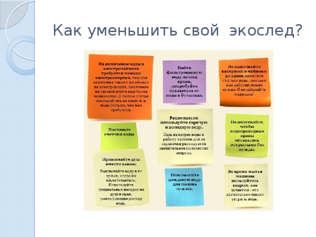 Как уменьшить свой экослед? 