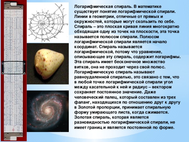 Логарифмическая спираль. В математике существует понятие логарифмической спирали. Линии в геометрии, отличные от прямых и окружностей, которые могут скользить по себе. Спираль – это плоская кривая линия многократно обходящая одну из точек на плоскости, эта точка называется полюсом спирали. Полюсом логарифмической спирали является начало координат. Спираль называется логарифмической, потому что уравнение, описывающее эту спираль, содержит логарифмы. Эта спираль имеет бесконечное множество витков, она не проходит через свой полюс. Логарифмическую спираль называют равноудаленной спиралью, это связано с тем, что в любой точке логарифмической спирали угол между касательной к ней и радиус – вектором сохраняет постоянное значение. Даже человеческий палец, который составлен из трех фаланг, находящихся по отношению друг к другу в Золотой пропорции, принимает спиральную форму умирающего листа, когда сжимается. Золотая спираль, которая является разновидностью логарифмической спирали, не имеет границ и является постоянной по форме. 