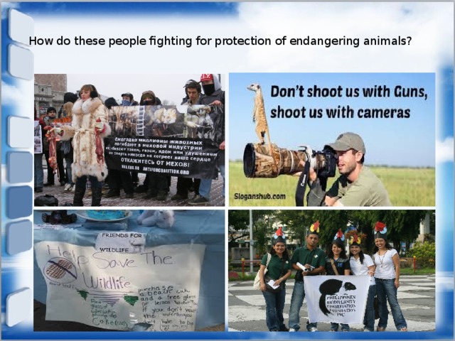 How do these people fighting for protection of endangering animals?   