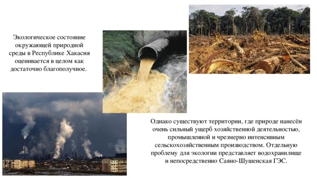 Экологическое состояние окружающей природной среды в Республике Хакасия оценивается в целом как достаточно благополучное.   Однако существуют территории, где природе нанесён очень сильный ущерб хозяйственной деятельностью, промышленной и чрезмерно интенсивным сельскохозяйственным производством. Отдельную проблему для экологии представляет водохранилище и непосредственно Саяно-Шушенская ГЭС. 