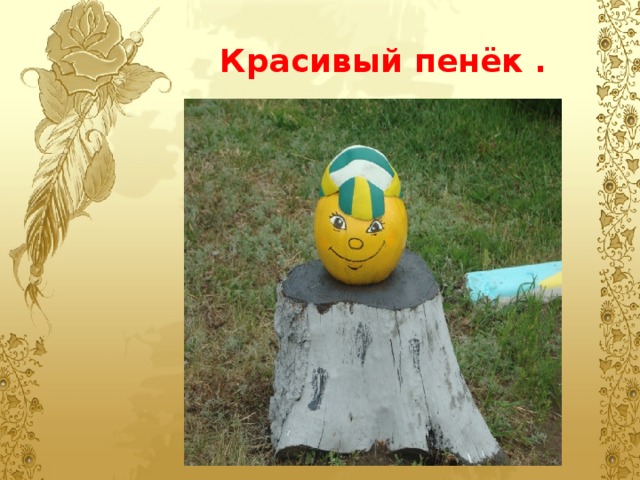 Красивый пенёк . 