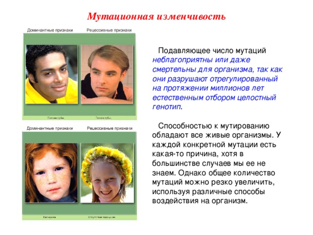 Мутационная изменчивость Подавляющее число мутаций неблагоприятны или даже смертельны для организма, так как они разрушают отрегулированный на протяжении миллионов лет естественным отбором целостный генотип . Способностью к мутированию обладают все живые организмы. У каждой конкретной мутации есть какая-то причина, хотя в большинстве случаев мы ее не знаем. Однако общее количество мутаций можно резко увеличить, используя различные способы воздействия на организм.  
