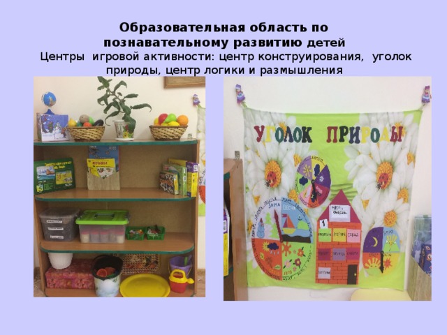 Образовательная область по  познавательному развитию детей  Центры игровой активности: центр конструирования, уголок природы, центр логики и размышления 