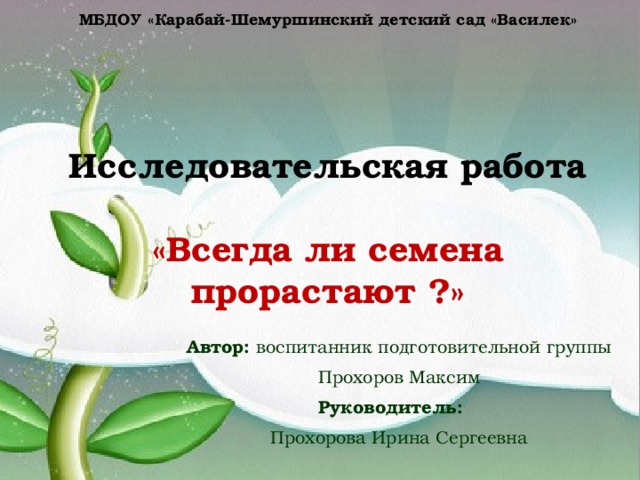МБДОУ «Карабай-Шемуршинский детский сад «Василек»        Исследовательская работа   «Всегда ли семена прорастают ?» Автор: воспитанник подготовительной группы Прохоров Максим Руководитель:  Прохорова Ирина Сергеевна 