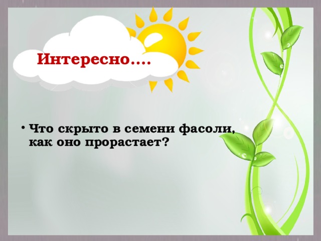 Интересно….  Что скрыто в семени фасоли, как оно прорастает? 
