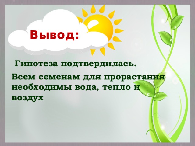 Вывод:  Гипотеза подтвердилась. Всем семенам для прорастания необходимы вода, тепло и воздух 