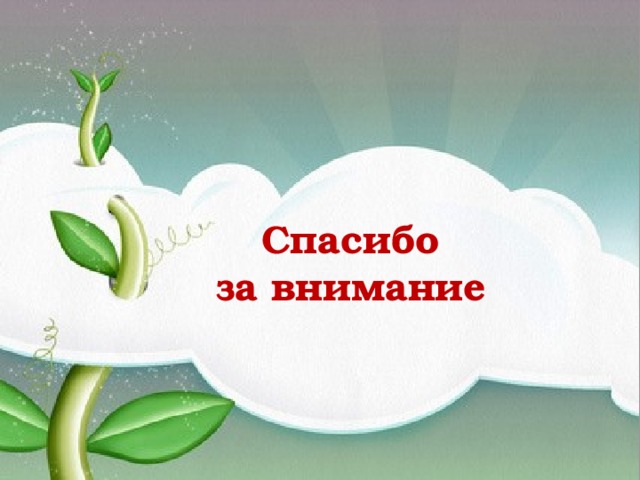 Спасибо  за внимание 