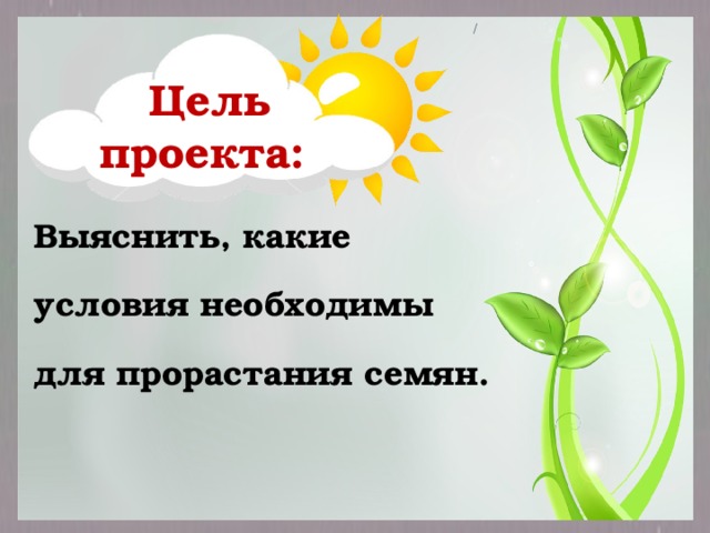 / Цель проекта: Выяснить, какие условия необходимы для прорастания семян. 