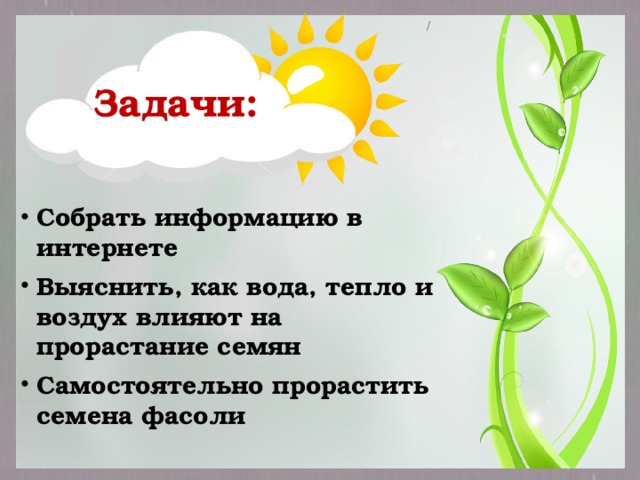 / Задачи:  Собрать информацию в интернете Выяснить, как вода, тепло и воздух влияют на прорастание семян Самостоятельно прорастить семена фасоли  