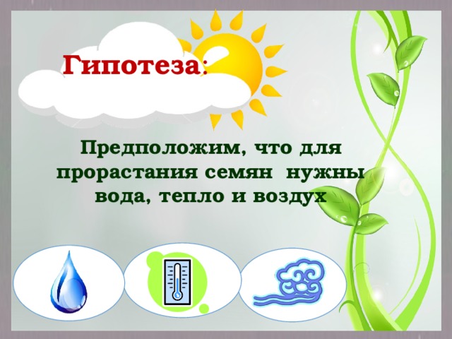 Гипотеза :  Предположим, что для прорастания семян нужны вода, тепло и воздух 