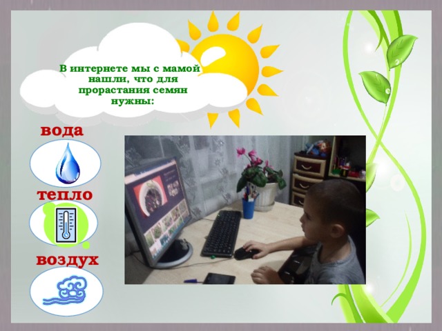 В интернете мы с мамой нашли, что для прорастания семян нужны: вода тепло  воздух 