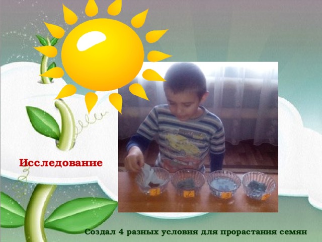 Исследование     Создал 4 разных условия для прорастания семян 