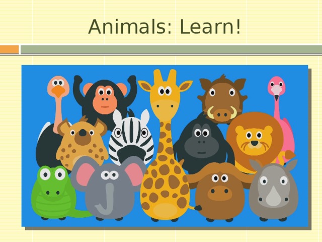 Animals: Learn! 