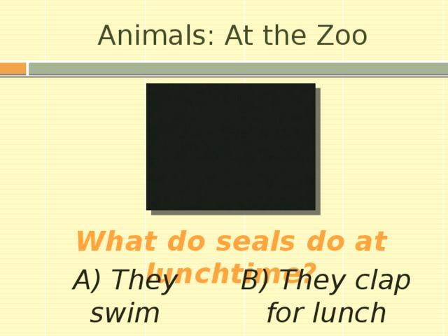Animals: At the Zoo What do seals do at lunchtime? A) They swim B) They clap for lunch 