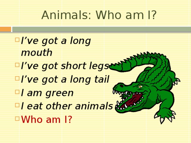 Animals: Who am I? I’ve got a long mouth I’ve got short legs I’ve got a long tail I am green I eat other animals Who am I? 