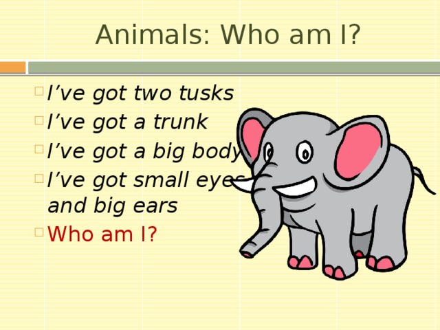 Animals: Who am I? I’ve got two tusks I’ve got a trunk I’ve got a big body I’ve got small eyes and big ears Who am I? 11 