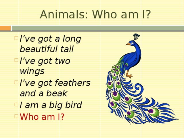 Animals: Who am I? I’ve got a long beautiful tail I’ve got two wings I’ve got feathers and a beak I am a big bird Who am I? 11 