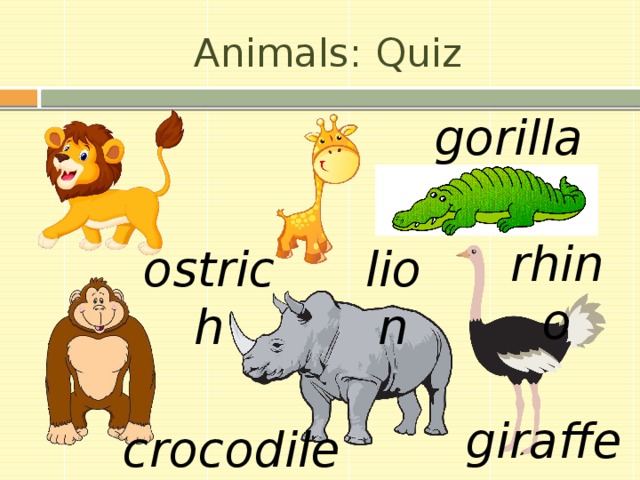 Animals: Quiz gorilla rhino lion ostrich giraffe crocodile 