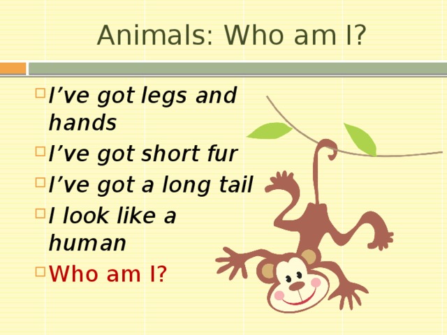 Animals: Who am I? I’ve got legs and hands I’ve got short fur I’ve got a long tail I look like a human Who am I? 11 