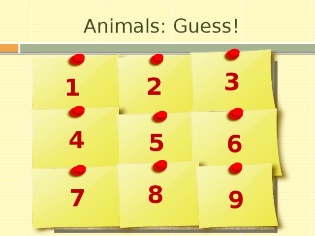 Animals: Guess! 3 2 1 4 5 6 8 7 9 