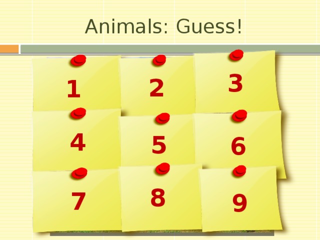 Animals: Guess! 3 2 1 4 5 6 8 7 9 