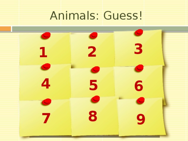 Animals: Guess! 3 2 1 4 5 6 8 7 9 