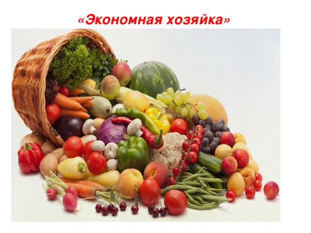 «Экономная хозяйка» 