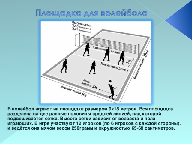 В волейбол играют на площадке размером 9х18 метров. Вся площадка разделена на две равные половины средней линией, над которой подвешивается сетка. Высота сетки зависит от возраста и пола играющих. В игре участвуют 12 игроков (по 6 игроков с каждой стороны), и ведётся она мячом весом 250грамм и окружностью 65-68 сантиметров.  