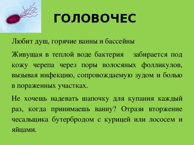 ГОЛОВОЧЕС Любит душ, горячие ванны и бассейны Живущая в теплой воде бактерия забирается под кожу черепа через поры волосяных фолликулов, вызывая инфекцию, сопровождаемую зудом и болью в пораженных участках. Не хочешь надевать шапочку для купания каждый раз, когда принимаешь ванну? Отрази вторжение чесальщика бутербродом с курицей или лососем и яйцами.  