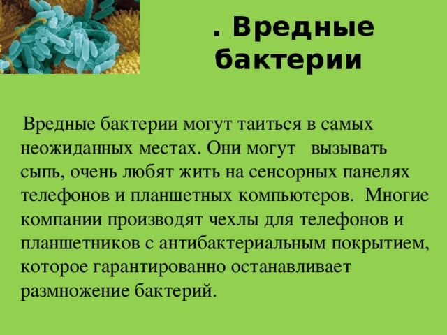 . Вредные бактерии  Вредные бактерии могут таиться в самых неожиданных местах. Они могут вызывать сыпь, очень любят жить на сенсорных панелях телефонов и планшетных компьютеров. Многие компании производят чехлы для телефонов и планшетников с антибактериальным покрытием, которое гарантированно останавливает размножение бактерий. 