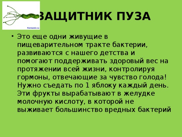 . ЗАЩИТНИК ПУЗА Это еще одни живущие в пищеварительном тракте бактерии, развиваются с нашего детства и помогают поддерживать здоровый вес на протяжении всей жизни, контролируя гормоны, отвечающие за чувство голода! Нужно съедать по 1 яблоку каждый день. Эти фрукты вырабатывают в желудке молочную кислоту, в которой не выживает большинство вредных бактерий 