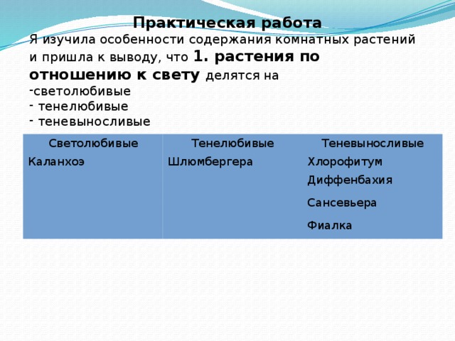 Практическая работа Я изучила особенности содержания комнатных растений и пришла к выводу, что 1. растения по отношению к свету делятся на светолюбивые  тенелюбивые  теневыносливые    Светолюбивые Тенелюбивые Каланхоэ Теневыносливые Шлюмбергера Хлорофитум Диффенбахия Сансевьера Фиалка 