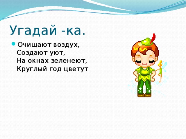 Угадай -ка. Очищают воздух,   Создают уют,   На окнах зеленеют,   Круглый год цветут 