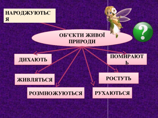НАРОДЖУЮТЬСЯ ОБ’ЄКТИ ЖИВОЇ ПРИРОДИ  ПОМИРАЮТЬ  ДИХАЮТЬ  РОСТУТЬ  ЖИВЛЯТЬСЯ РОЗМНОЖУЮТЬСЯ РУХАЮТЬСЯ 