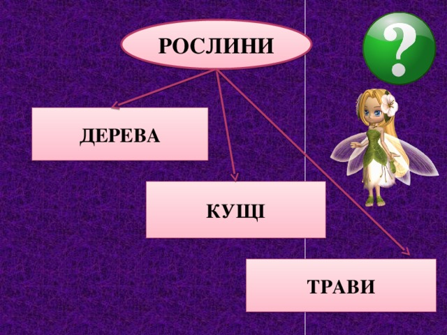 РОСЛИНИ ДЕРЕВА  КУЩІ ТРАВИ 