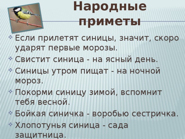 Народные приметы Если прилетят синицы, значит, скоро ударят первые морозы. Свистит синица - на ясный день. Синицы утром пищат - на ночной мороз. Покорми синицу зимой, вспомнит тебя весной. Бойкая синичка - воробью сестричка. Хлопотунья синица - сада защитница . 