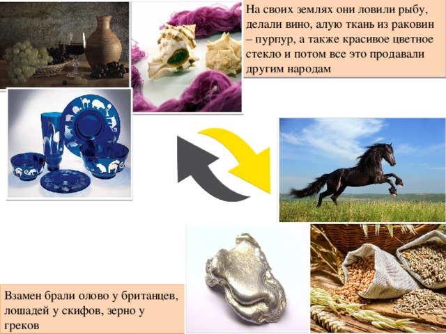 На своих землях они ловили рыбу, делали вино, алую ткань из раковин – пурпур, а также красивое цветное стекло и потом все это продавали другим народам Взамен брали олово у британцев, лошадей у скифов, зерно у греков 