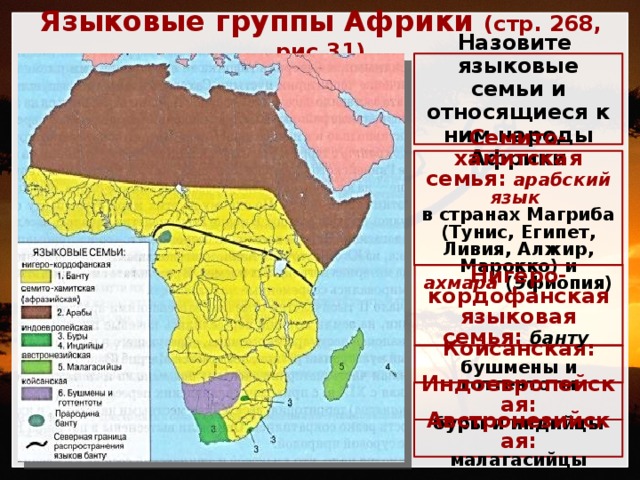 Языковые группы Африки (стр. 268, рис 31) Назовите языковые семьи и относящиеся к ним народы Африки Семито-хамитская семья: арабский язык в странах Магриба (Тунис, Египет, Ливия, Алжир, Марокко) и ахмара  (Эфиопия) Нигеро-кордофанская языковая семья: банту Койсанская: бушмены и готтентоты Индоевропейская: буры и индийцы Австронезийская: малагасийцы 