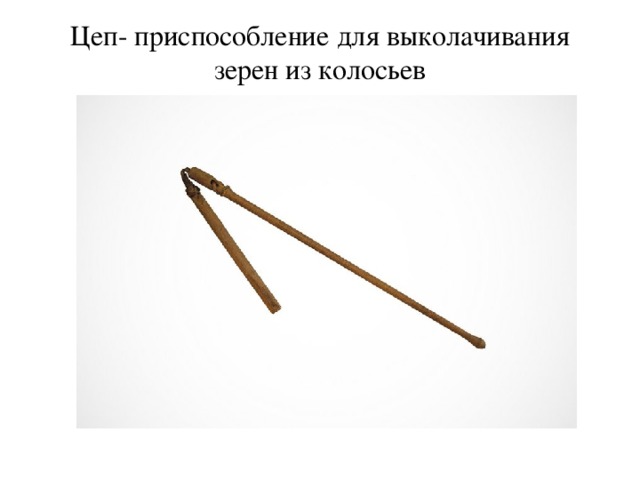 Цеп- приспособление для выколачивания зерен из колосьев 