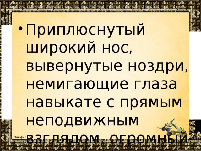 Приплюснутый широкий нос, вывернутые ноздри, немигающие глаза навыкате с прямым неподвижным взглядом, огромный живот. 