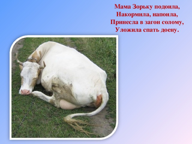 Мама Зорьку подоила,  Накормила, напоила,  Принесла в загон солому,  Уложила спать доену.