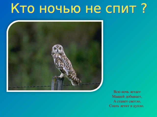 Всю ночь летает Мышей добывает, А станет светло, Спать летит в дупло.